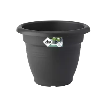 Green Basics Campana 30cm Living Black - image 1