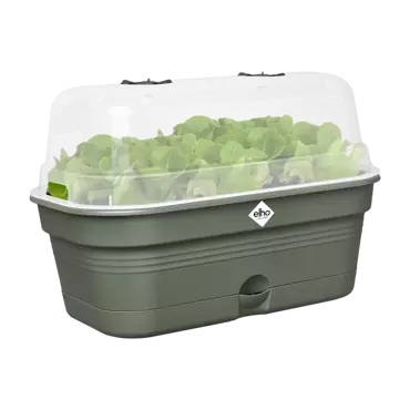Green Basics Grow Tray All in1 Leaf Green 32cm - image 5