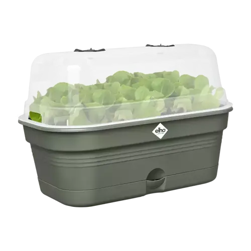 Green Basics Grow Tray All in1 Leaf Green 39cm - image 2