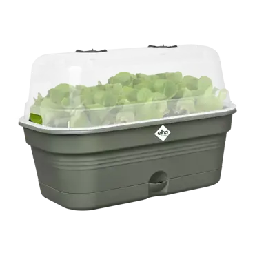 Green Basics Grow Tray All in1 Leaf Green 39cm - image 2