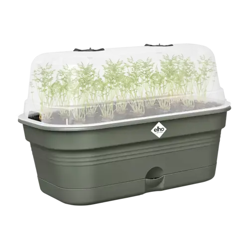Green Basics Grow Tray All in1 Leaf Green 39cm - image 3