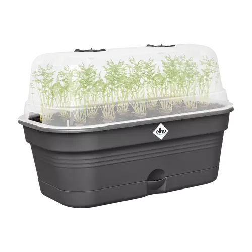 Green Basics Grow Tray All in1 Living Black 39cm - image 2