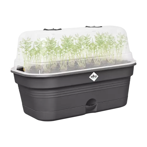 Green Basics Grow Tray All in1 Living Black 39cm - image 2