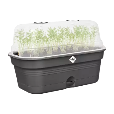 Green Basics Grow Tray All in1 Living Black 39cm - image 2