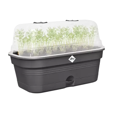 Green Basics Grow Tray All in1 Living Black 39cm - image 2