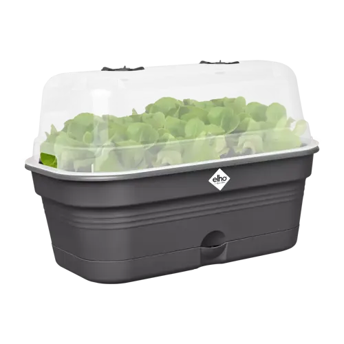 Green Basics Grow Tray All in1 Living Black 39cm - image 3