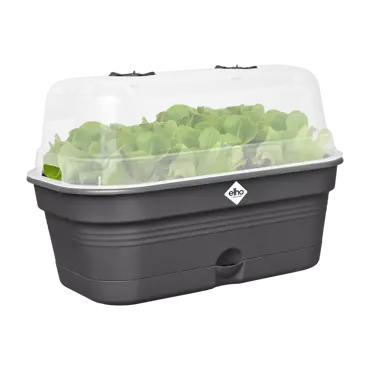 Green Basics Grow Tray All in1 Living Black 39cm - image 3