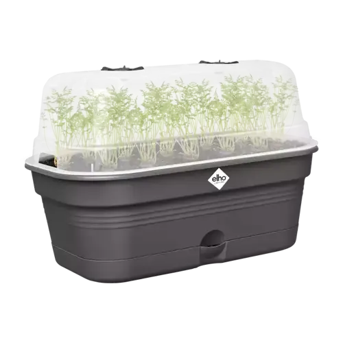 Green Basics Grow Tray All in1 Living Black 32cm - image 4