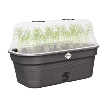 Green Basics Grow Tray All in1 Living Black 32cm - image 4