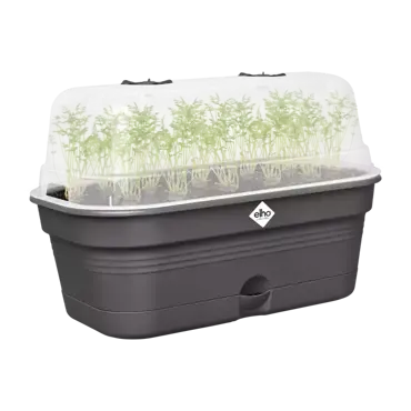 Green Basics Grow Tray All in1 Living Black 32cm - image 4