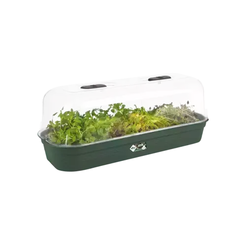 Green Basics Grow Tray L Leaf Green - image 4