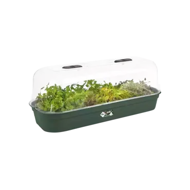 Green Basics Grow Tray L Leaf Green - image 4