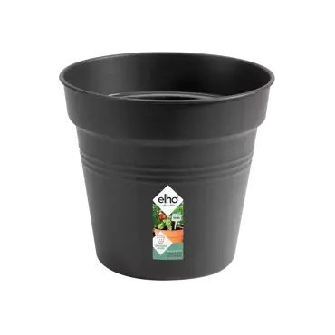 Green Basics Growpot 11cm Living Black - image 1