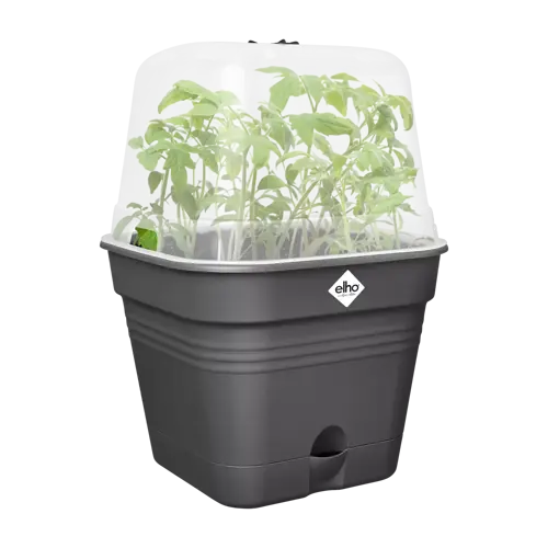 Green Basics Growpot Square All in1 15cm Living Black - image 2