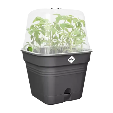 Green Basics Growpot Square All in1 15cm Living Black - image 2