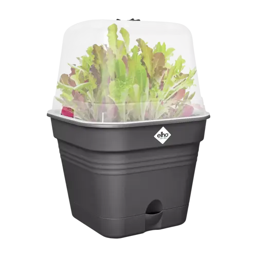 Green Basics Growpot Square All in1 15cm Living Black - image 3