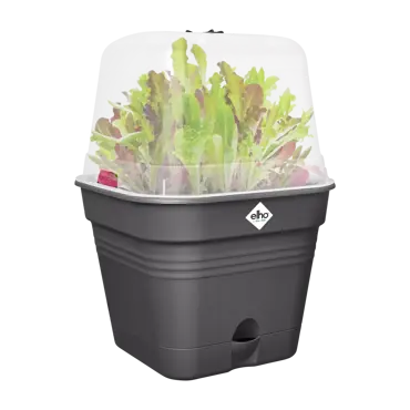 Green Basics Growpot Square All in1 15cm Living Black - image 3