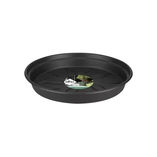 Green Basics Saucer 10cm Living Black - image 1