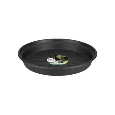 Green Basics Saucer 10cm Living Black - image 1