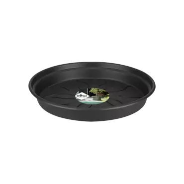Green Basics Saucer 29cm Living Black - image 1