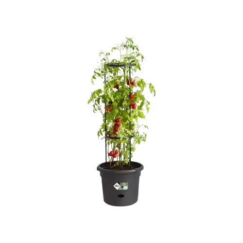 Green Basics Tomato Pot 33cm Living Black - image 1