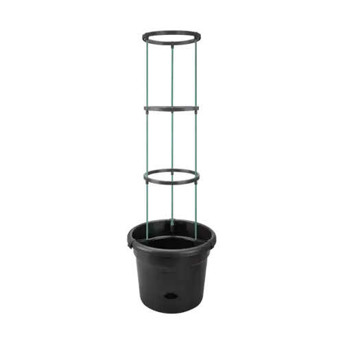 Green Basics Tomato Pot 33cm Living Black - image 2