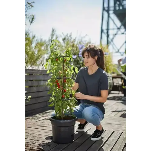 Green Basics Tomato Pot 33cm Living Black - image 4