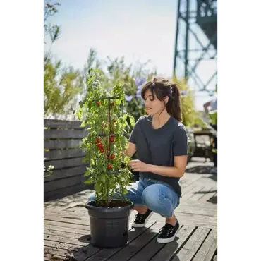 Green Basics Tomato Pot 33cm Living Black - image 4