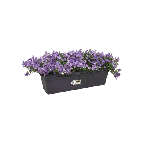 Green Basics Trough 50cm Living Black - image 2