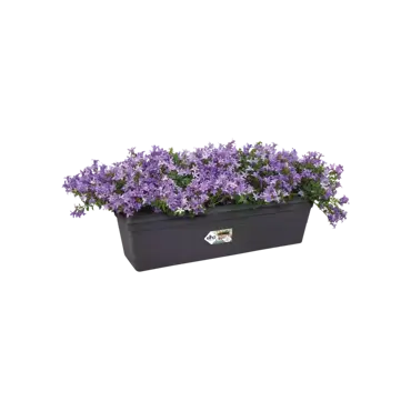 Green Basics Trough 50cm Living Black - image 2