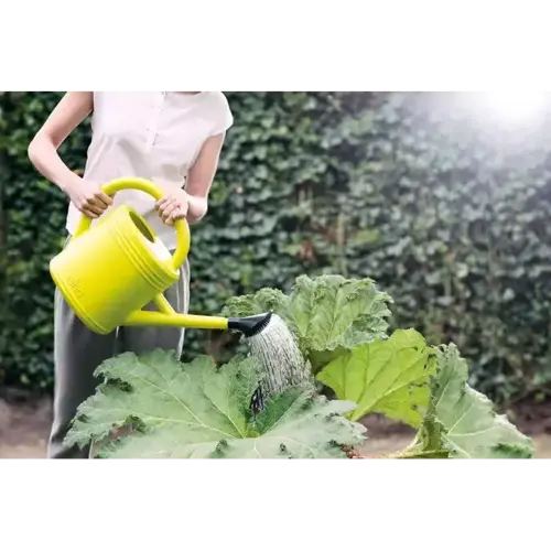 Green Basics Watering Can 10L Lime Green - image 3