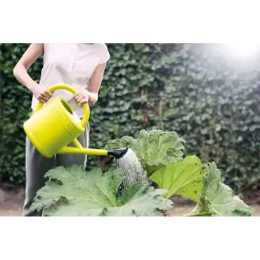 Green Basics Watering Can 10L Lime Green - image 3