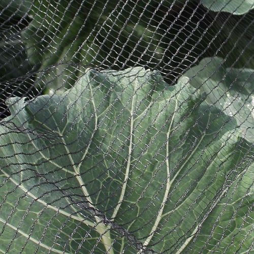 Green Soft Bird/Butterfly Netting 2x5m - image 4