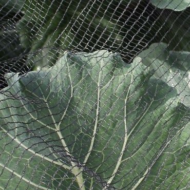 Green Soft Bird/Butterfly Netting 3x4m - image 4