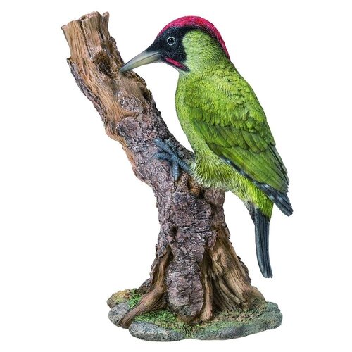 Green Woodpecker B