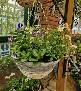 Grey/White Dipped Round Hanging Basket 30cm