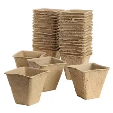 Gro-Sure Fibre Pots Square 6cm 20Pk - image 2