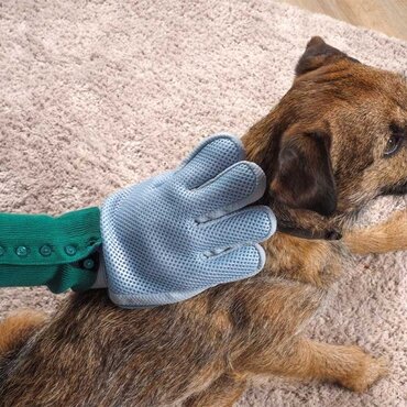 Grooming Glove - image 2