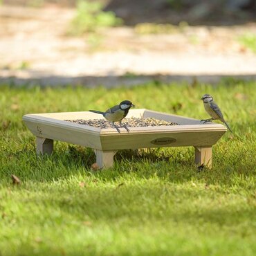 Ground Feeding Table National Trust - image 2