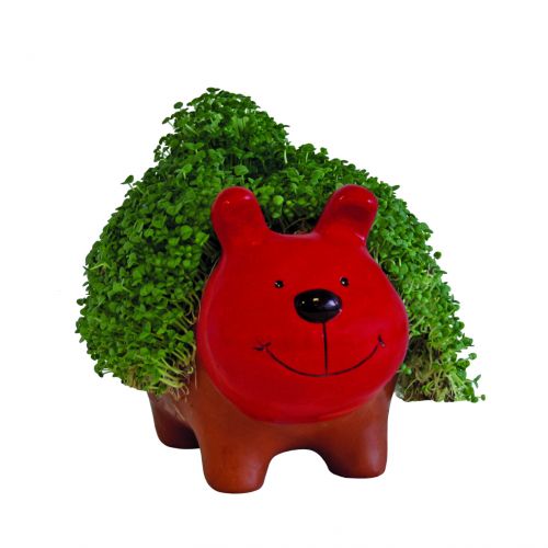 buy grow a pet terracotta plant dog