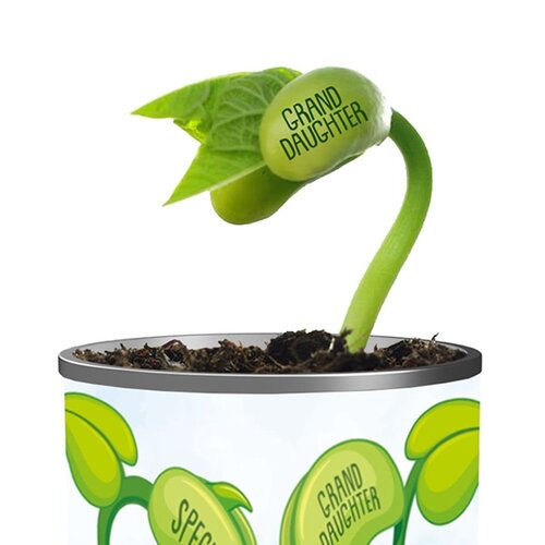 Grow Name Special Granddaughter - image 2