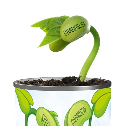 Grow Name Special Grandson - image 2