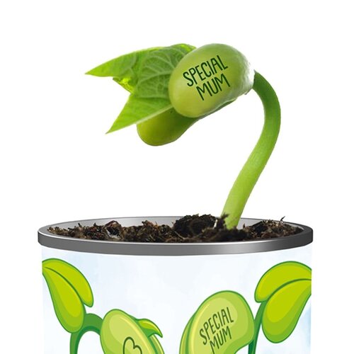 Grow Name Special Mum - image 2