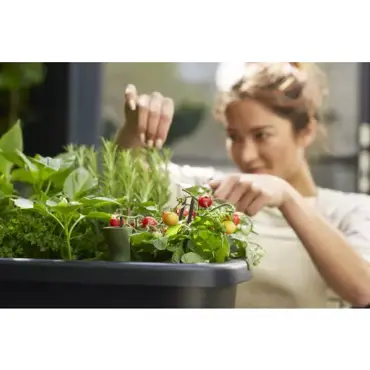 Grow Table Noa Living Black - image 3