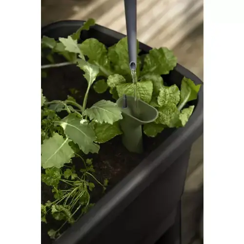 Grow Table Noa Living Black - image 4