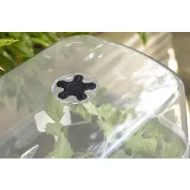 Grow Table Noa Living Black - image 5