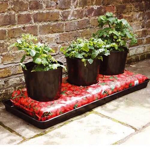 Growbag Tray Essentials Black - image 2