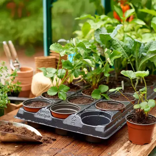 Growing Tray with18 Round Pots - image 2