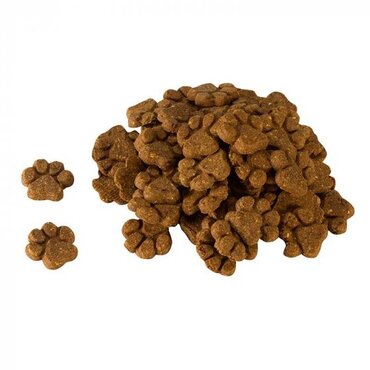 Hale & Hearty Grain Free Biscuits