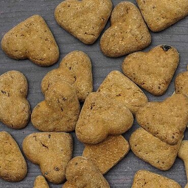 Hale & Hearty Turkey & Cranberry Grain Free Biscuits 320g - image 2